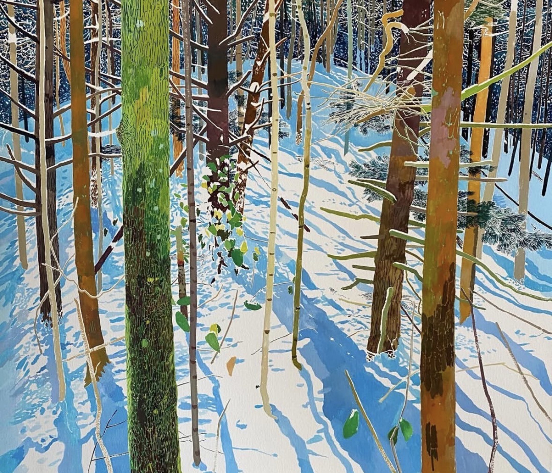 沉思的森林|Gianni Notarianni🌲