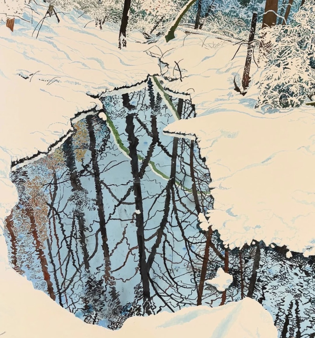 沉思的森林|Gianni Notarianni🌲