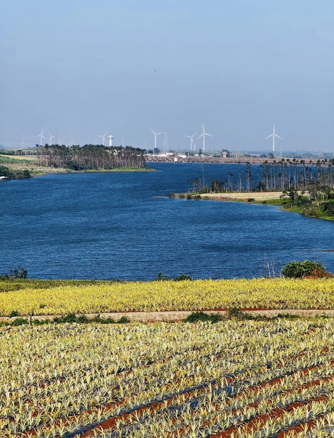藏不住了！湛江7大必打卡，火山、碧海、菠萝海一次过瘾