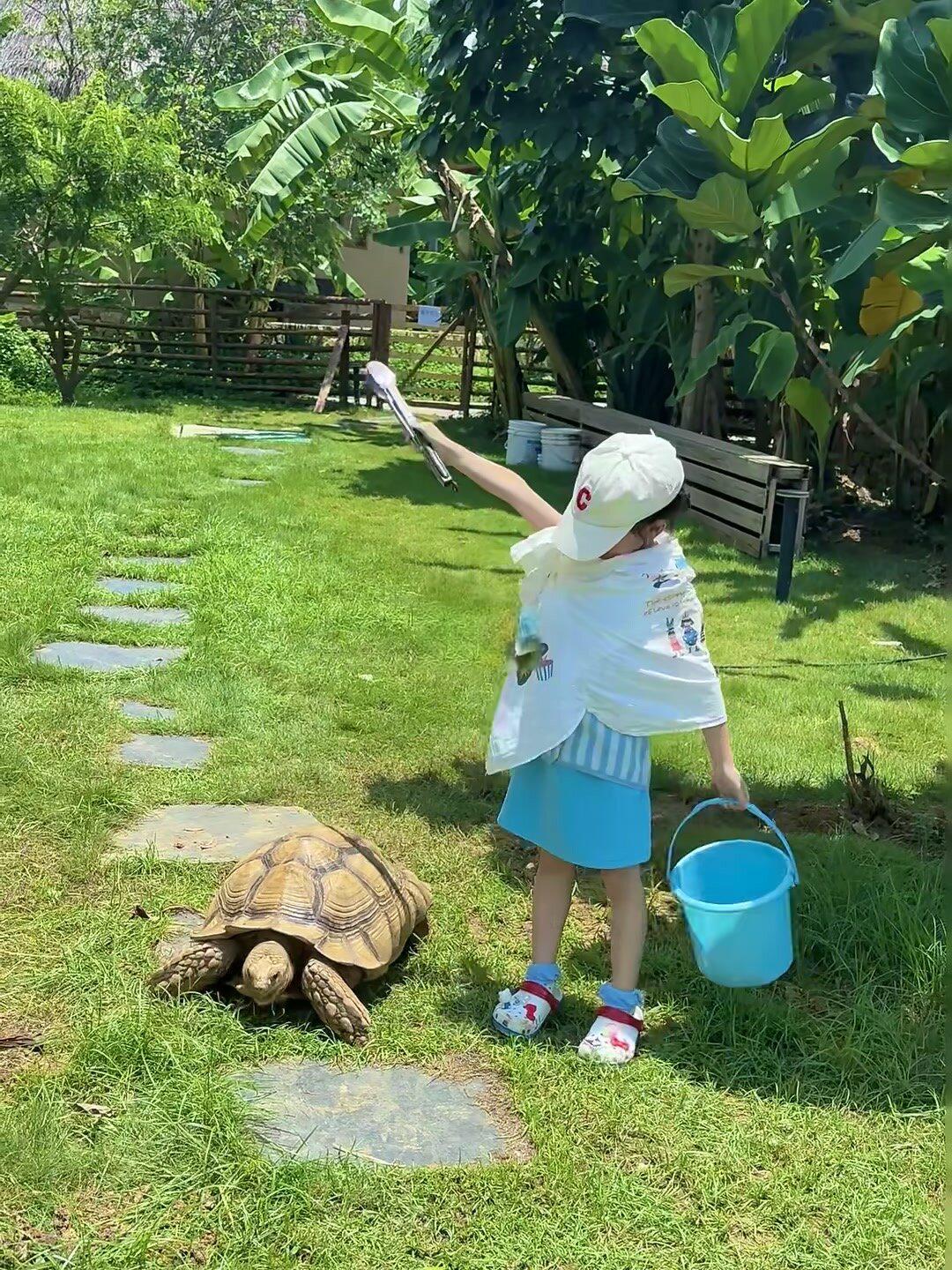 在三亚和崇左间选了崇左,娃玩的不想回家😭