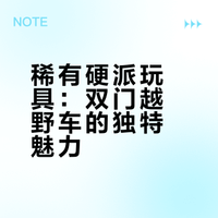 来看稀有大玩具——双门越野车 方盒子审美