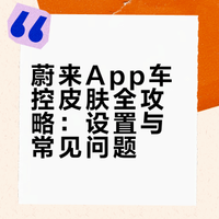 蔚来App车控皮肤使用指南💜