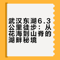 森林公园徒步推荐【4】丨东湖嗨野营地