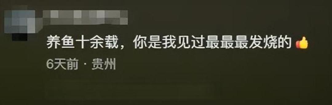 23岁辽宁小伙,因“与鱼共眠”走红,网友:是我见过最最最发烧的