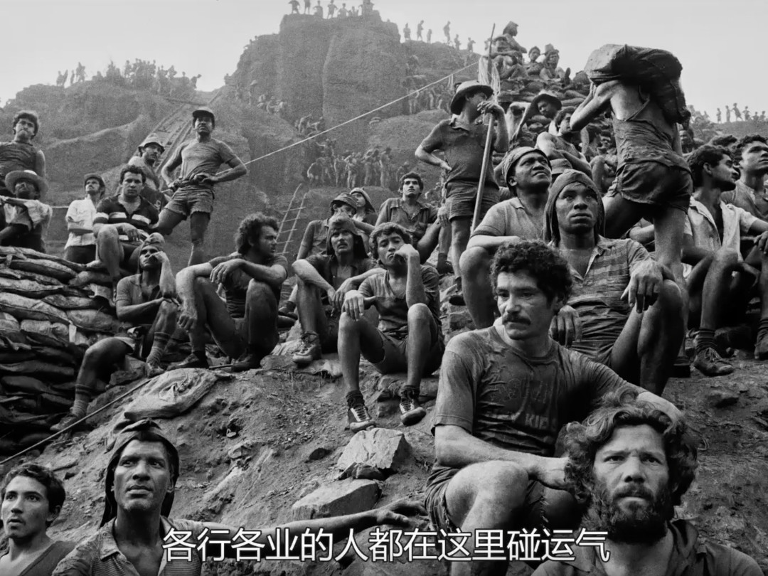 📽️《地球之盐》为我看到的东西而大哭