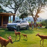 朱广权喊风神放手一搏，风神L8限时置换价11.39万元起