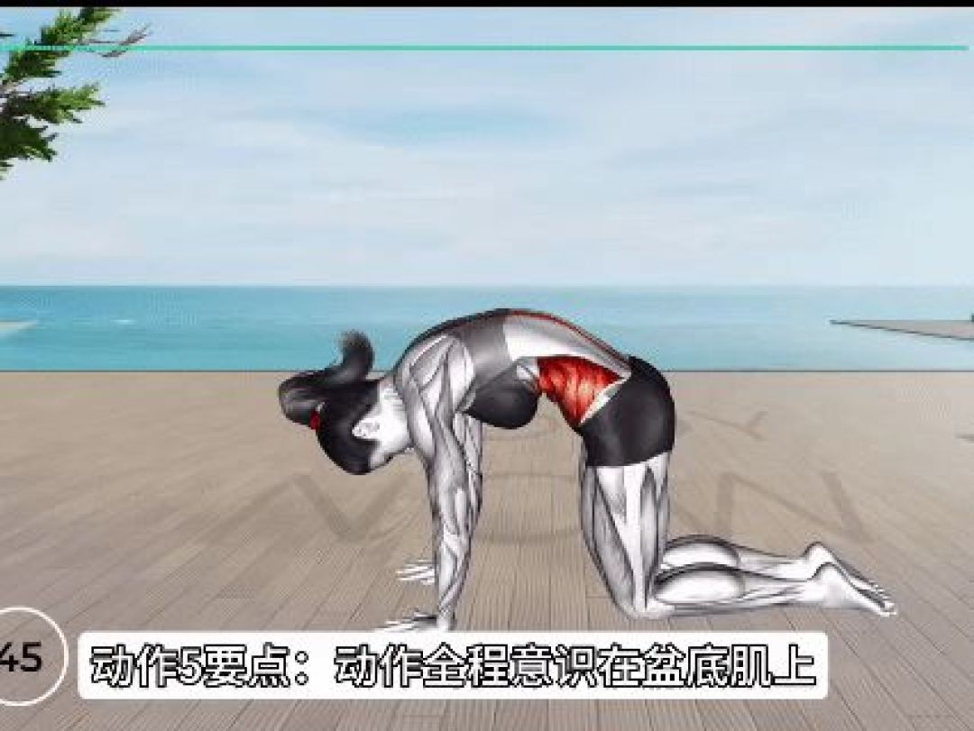 拯救松弛盆底肌！15分钟凯格尔运动，小肚子也平了!