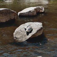 Adizero跑鞋是通勤神器还是专业陷阱？700+用户观点大PK