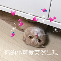 猫罐头哪个牌子好吃又便宜？希喂白小罐为啥这么受欢迎？
