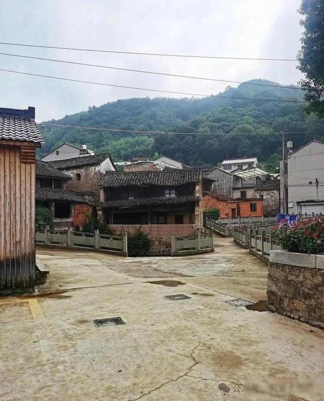 宇树机器人火了,德国总理带队上门,绍兴山沟里走出的工程师改写