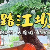 🚗 保山必驾！ 这条宝藏公路，藏着咖香与山野