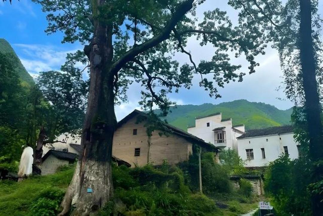 漫游安徽石台，发现5处春天秘境与4道秋浦河鲜，本地人也不全知道