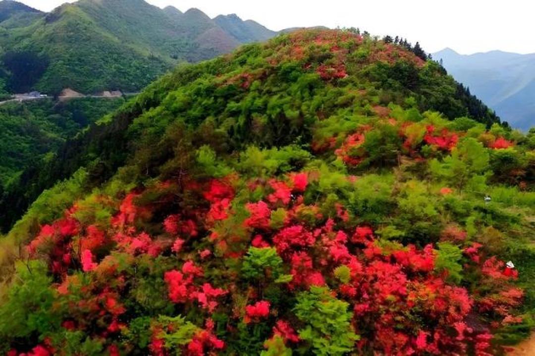 漫游安徽石台，发现5处春天秘境与4道秋浦河鲜，本地人也不全知道