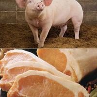 广东人说他们吃猪肉都是吃新鲜的，怎么个新鲜法？