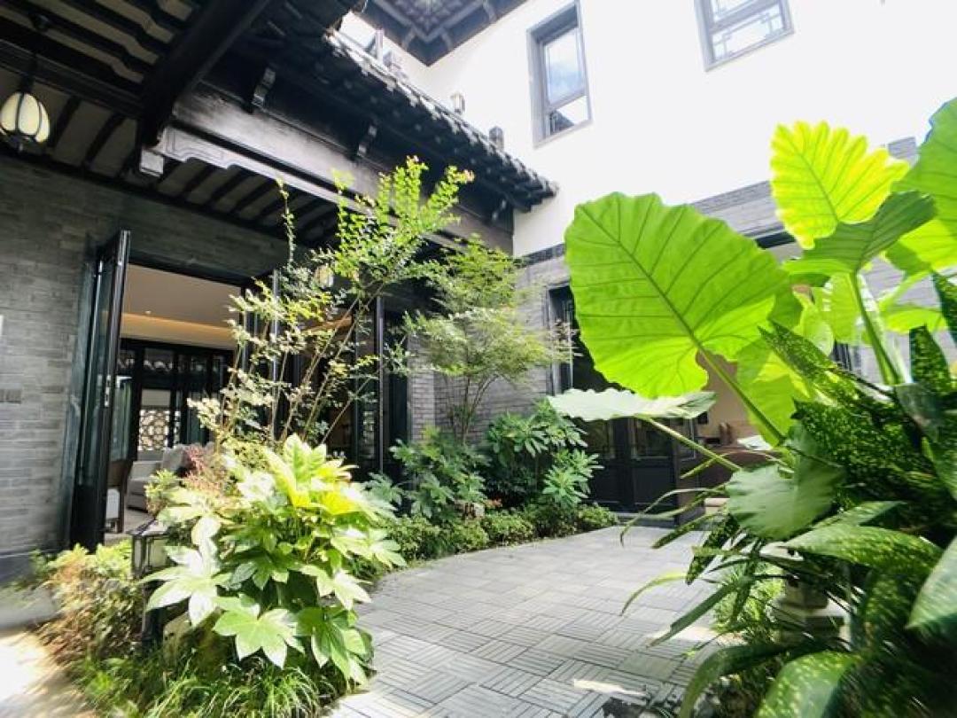 民宿新魅力:文化、场景、技术、可持续带你邂逅美好旅行