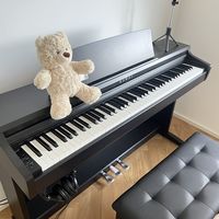 新手初学者电钢琴选购避坑指南：5步选对不踩雷