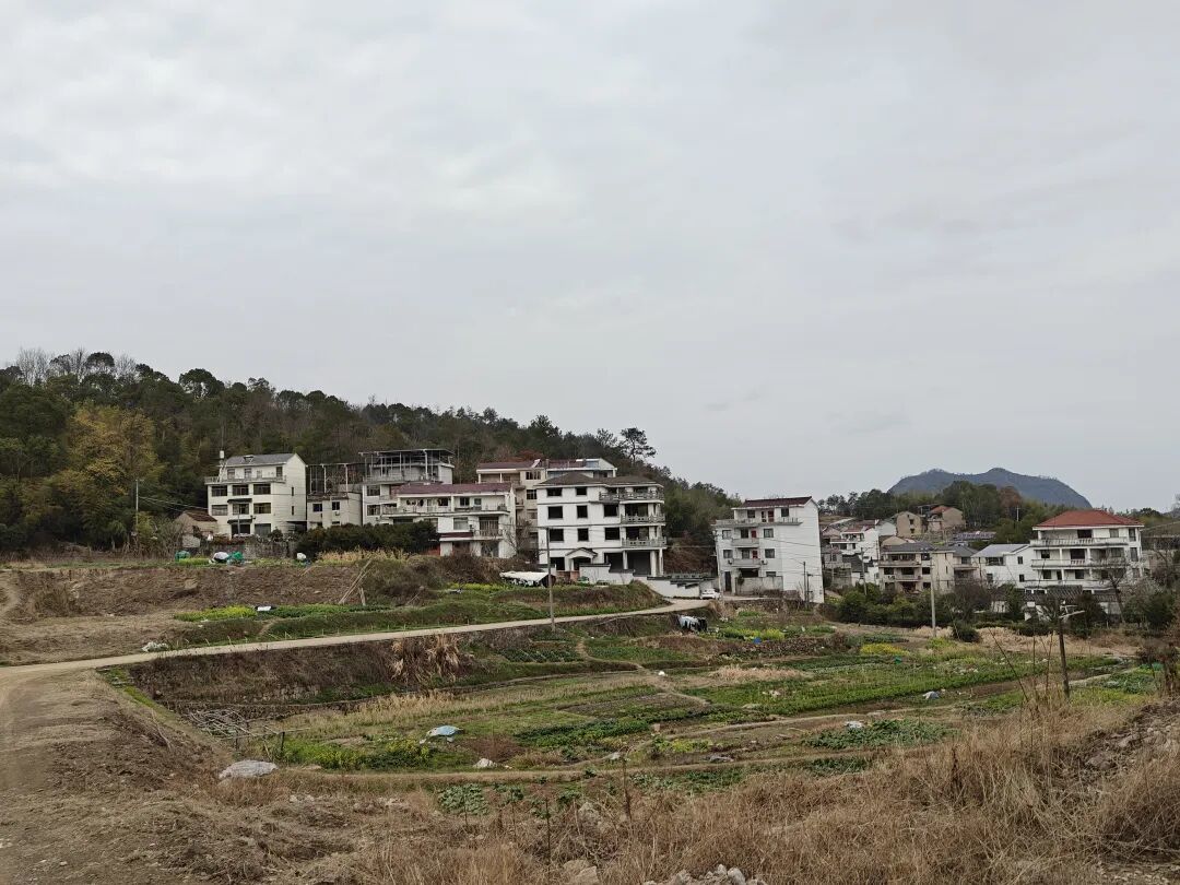 去爬山吧:打卡八寺山,用脚步丈量山野,用镜头记录温柔