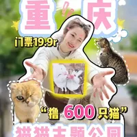 给流浪猫一个家，重庆真的做到了！！！ #猫咪公园 #流浪猫救助 #重庆旅行 #在拍一种很新的vlog #青年创作者成长计划