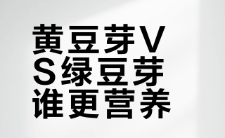 黄豆芽VS绿豆芽谁更营养？手把手教你在家发豆芽