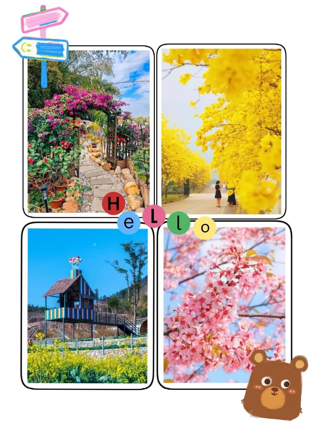 在韶关,住民宿就能承包整片花海!