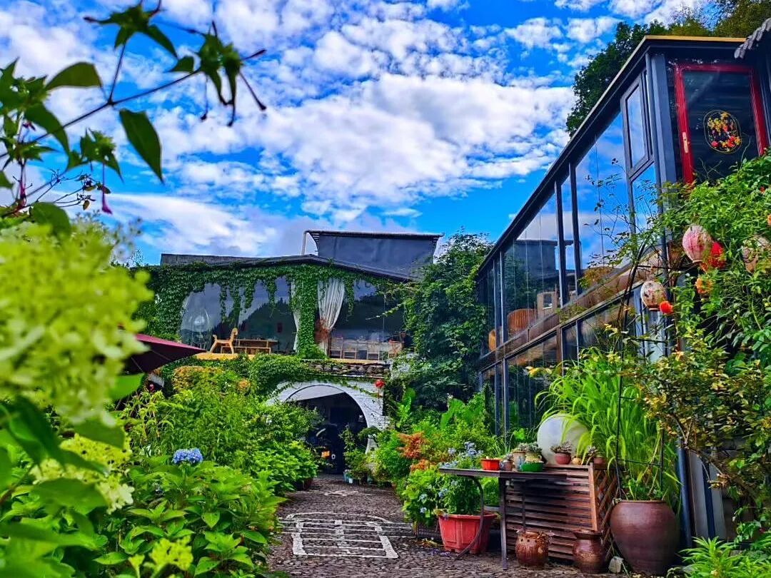 在韶关,住民宿就能承包整片花海!