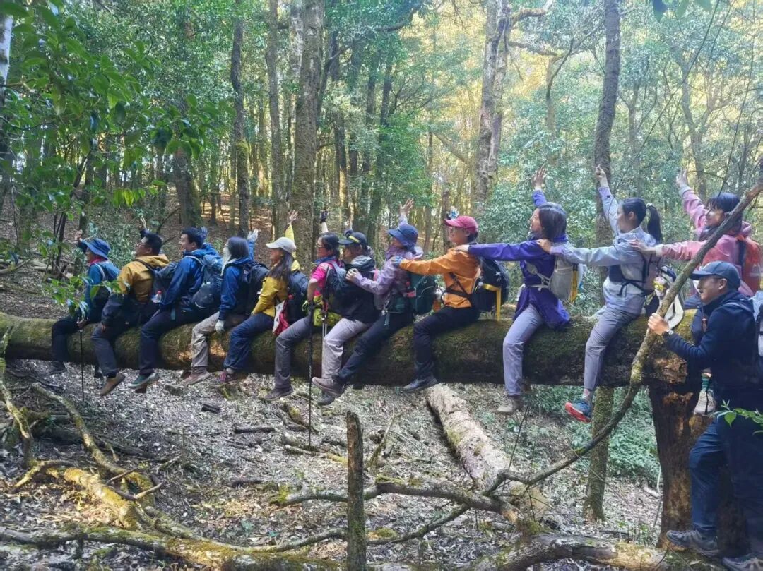 有一种叫云南的生活·旅居云南丨和平镇探索“山地旅游”融合发展新路径