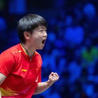 2026乒乓球世界杯选拔标准引热议：公平性与观赏性如何平衡？我们汇总了全网真实观点