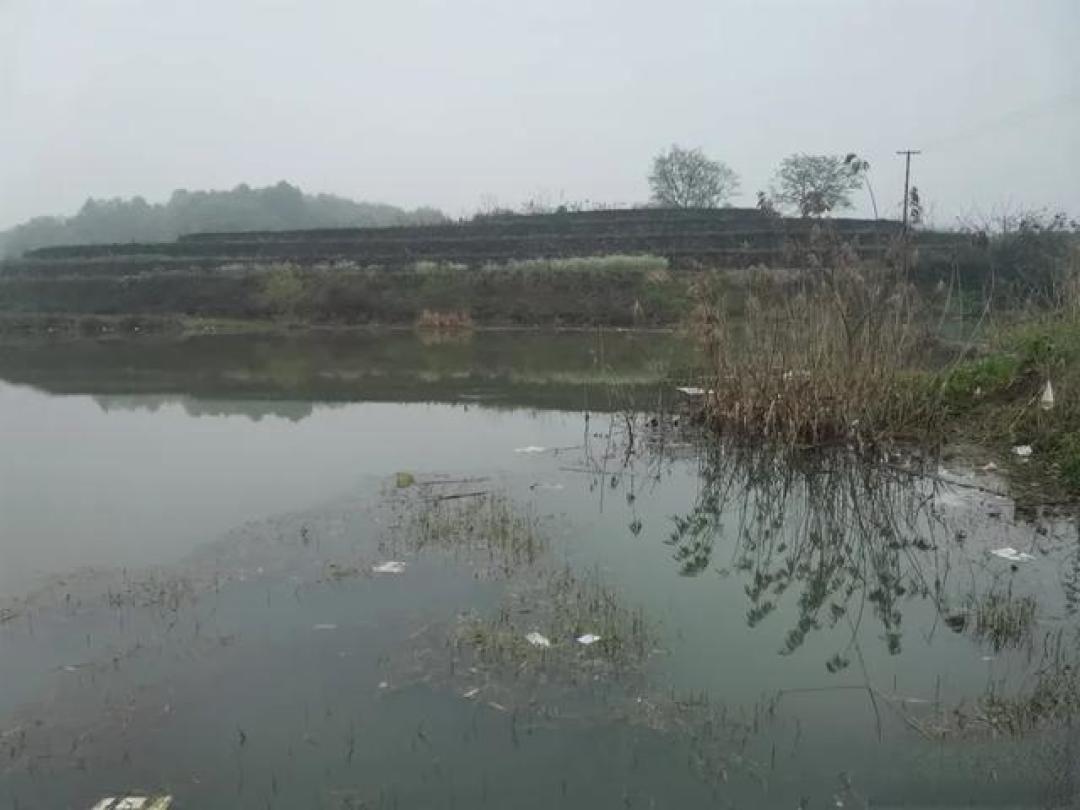 春季的鲫鱼最喜欢躲藏的2个地方，不打窝都能上鱼