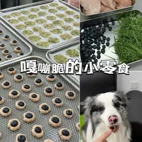 95后养狗｜挑食狗的小零食 花青素满满～再也不用担心吐蓝莓了#养狗经验分享 #自制狗狗零食 #狗狗零食 #养狗日常 #萌宠出道计划