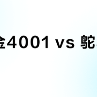 百利金4001 vs 鸵鸟551墨水？68位书写爱好者实测告诉你答案