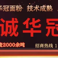 深度解读：告别“规模为王”，面粉行业未来五年走势预判与生存指南