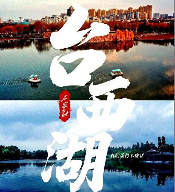 石家庄版“小阿勒泰”！30分钟直达花海草原，露营星空美到窒息！