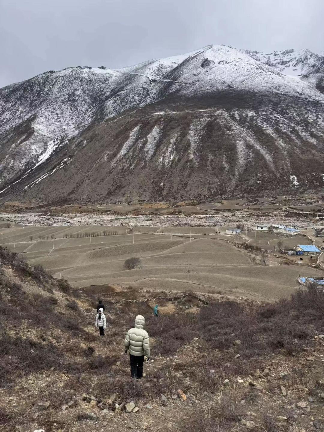 女生西藏徒步时失联，用牛粪保温在牛棚被找到，为啥牛粪能帮助维持体温？这种情况还能做哪些保护措施？