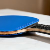 孙颖莎同款球拍值得买吗？3000+用户观点大碰撞