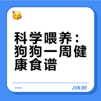 🐾 看似普通，实则对狗狗健康大有益处的食物