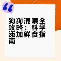 狗粮与鲜食混喂：科学喂养完整问答