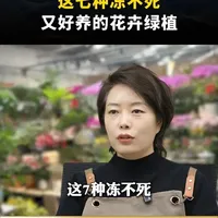 这七种冻不死又好养的花卉绿植 #养花修心#爱花爱生活#花卉绿植#养花小知识