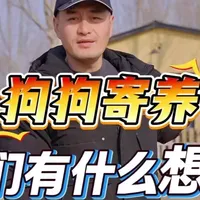 欢迎大家来找茬，多给我挑挑毛病，我需要进步 #狗狗寄养 #养狗经验分享 #养狗的乐趣