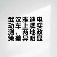 雅迪电动车C09-G武汉上牌记