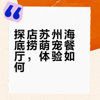 苏州海底捞萌宠餐厅真实测评