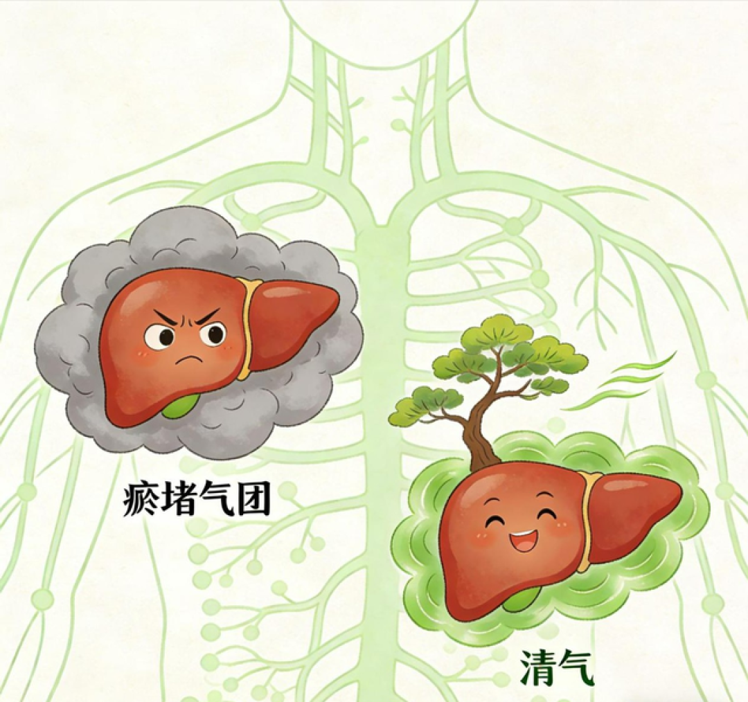 周末全家“养肝操”:学大树迎风摆动,疏肝气,心情好