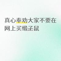 缎子鼠饲养避坑指南