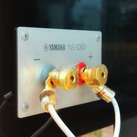 与YAMAHA NS5000的故事