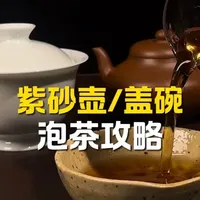 紫砂壶和盖碗这两种茶具在泡茶的时候都有什么样的不同体验？以及应该怎么根据自己的需求和茶的种类来挑选最适合的茶具？#紫砂壶 #盖碗泡茶 #泡茶 #茶文化 #茶叶