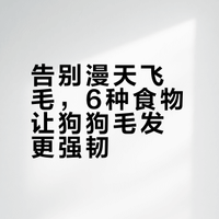 狗狗掉毛最怕的6种食物，养宠人快码住！✨