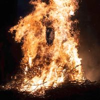 摄影审美提升｜第1期 The Galloping Phoenix