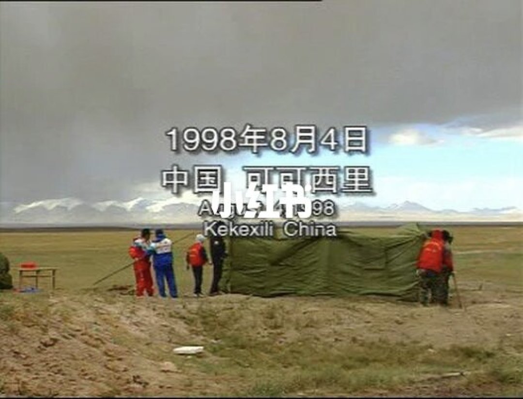 《生命树》胡歌原型遭遇比电视剧还残酷