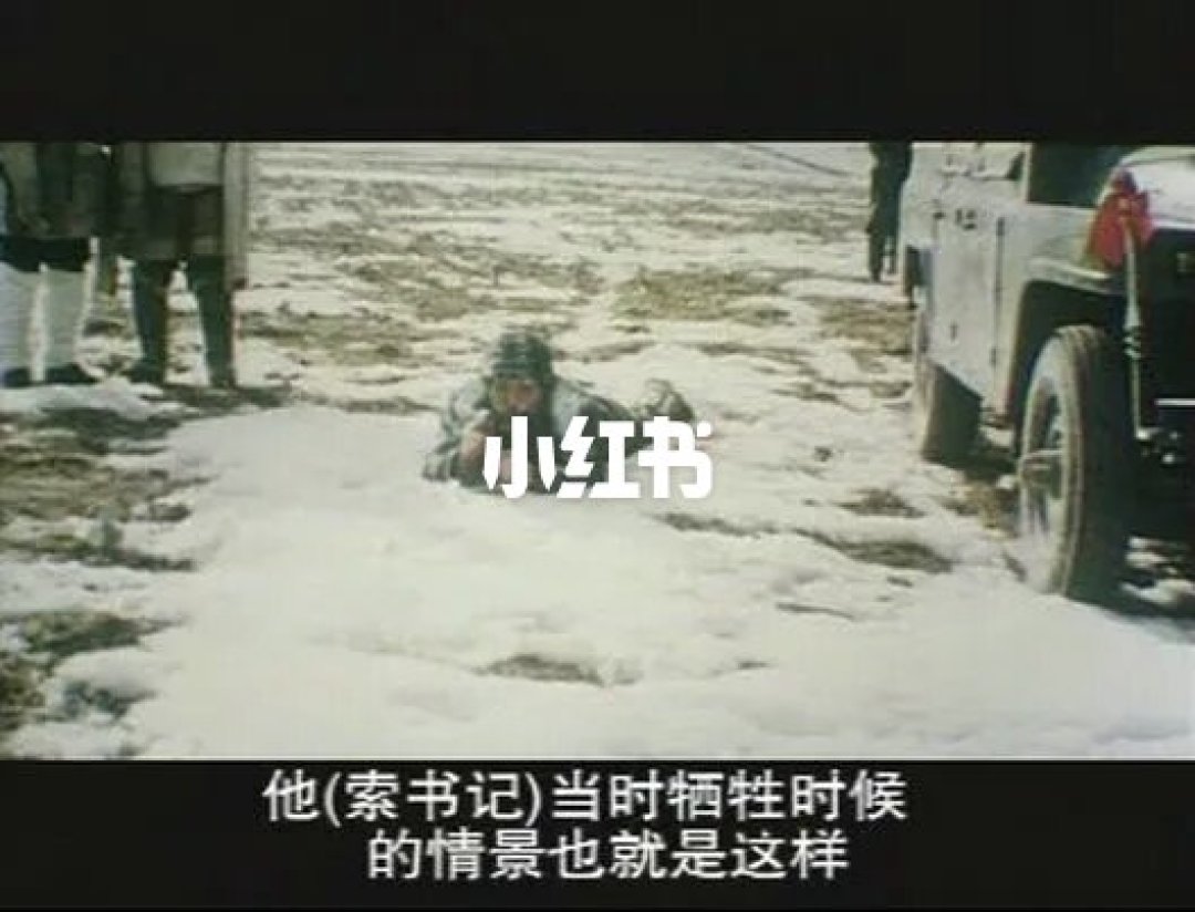 《生命树》胡歌原型遭遇比电视剧还残酷