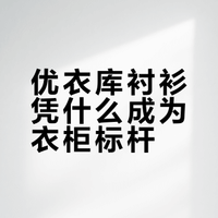 优衣库C系浅紫衬衫💜