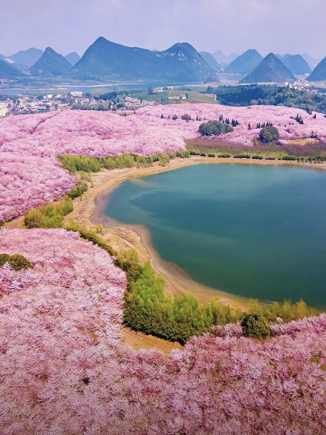 带孩子去22°C的兴义过春天💐真比瑞士还震撼